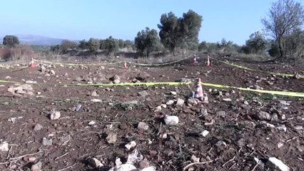 Tarlada buldukları mozaiği, 30 milyon dolara satmak isterken yakalandılar