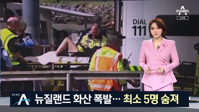 뉴질랜드 화산 폭발로 최소 5명 숨져…인명피해 늘 듯