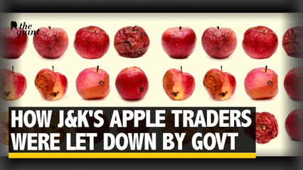 Why is Kashmir's Apple Trade Suffering? | The Quint