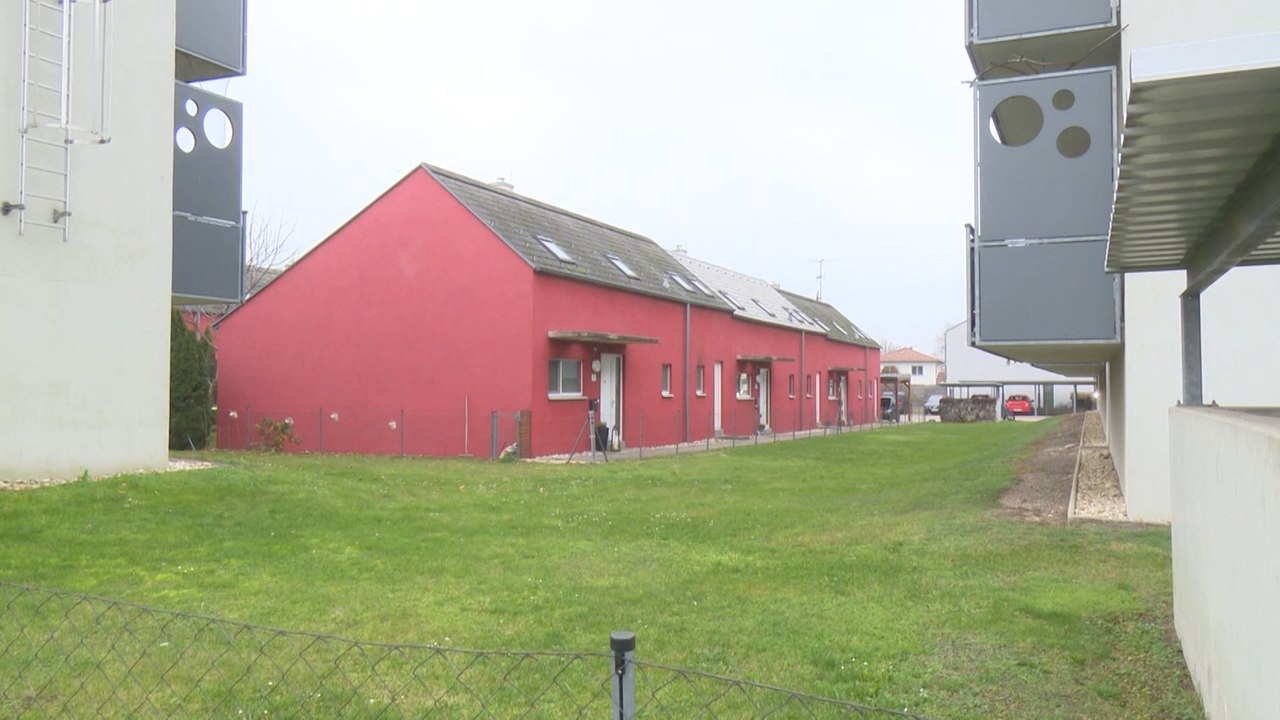 48-Jährige starb nach Messerattacke im Bezirk Mistelbach