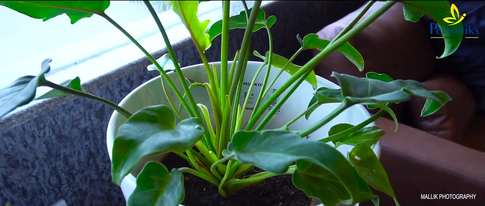 Breast Reduction Surgery in Hyderabad | Breast Reduction Surgery Cost in Hyderabad