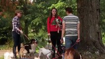 12 Dog Days Till Christmas - Trailer