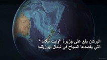 استبعاد العثور على ناجين بعد ثوران بركان بجزيرة في نيوزيلندا