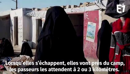 Au camp d'Al-Hol, dans le nord de la Syrie, les évasions de femmes djihadistes se multiplient