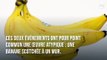 Star d'une foire d'art contemporain, une banane a été vendue 120 000 dollars puis mangée