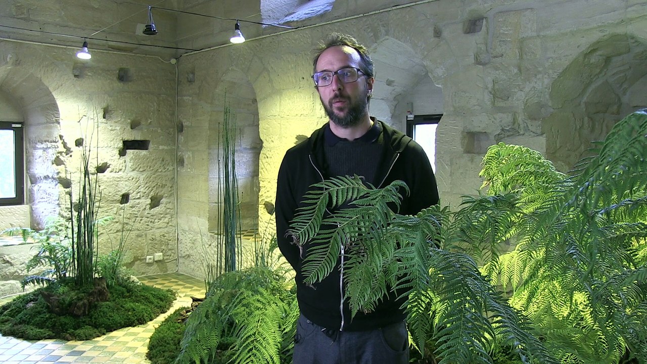 Julien Taïb