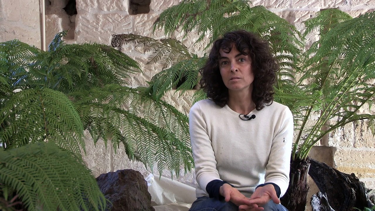 Cécile Beau