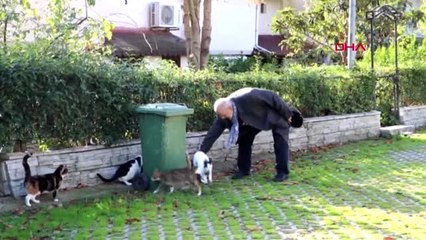 Tekirdağ rus natalia'nın kedilerinin zehirlenmesine polis soruşturması