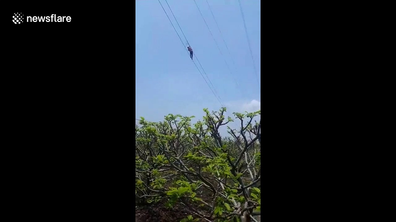 Vietnamese electrical worker swings on high-voltage wires at frightening height