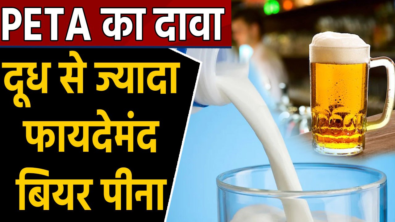 Drinking Beer is more beneficial than milk claims PETA, people shocked | Boldsky