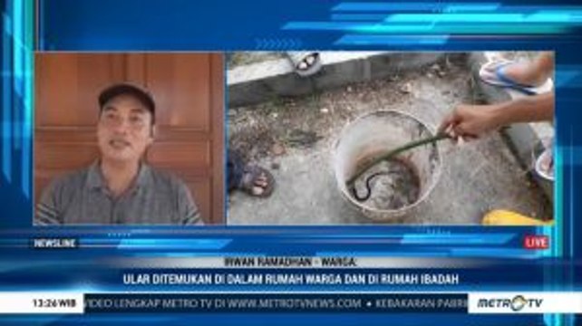 Teror Ular Kobra di Permukiman Warga Citayam