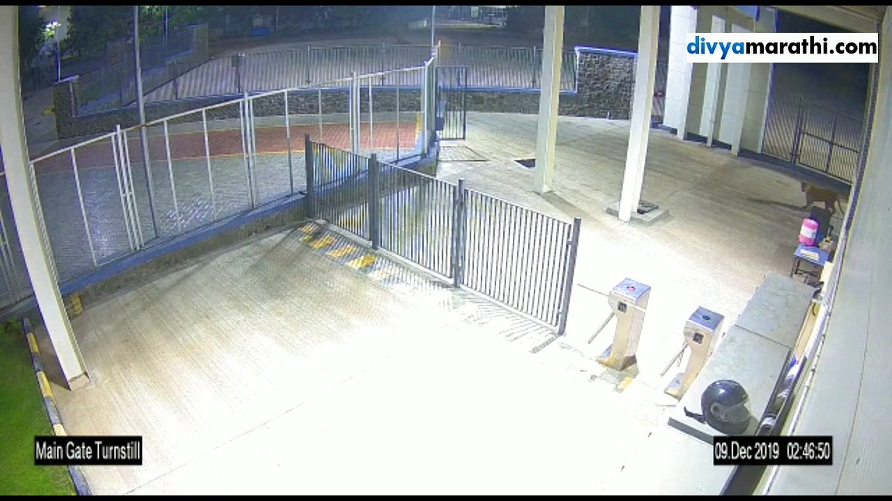 बारामती औद्योगिक वसाहतीमध्ये बिबट्याचा वावर