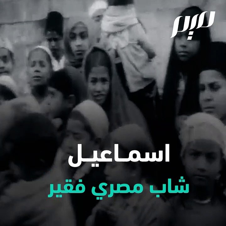 كلب الست