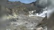 Una erupción de un volcán deja sin signos de vida en una isla de N.Zelanda