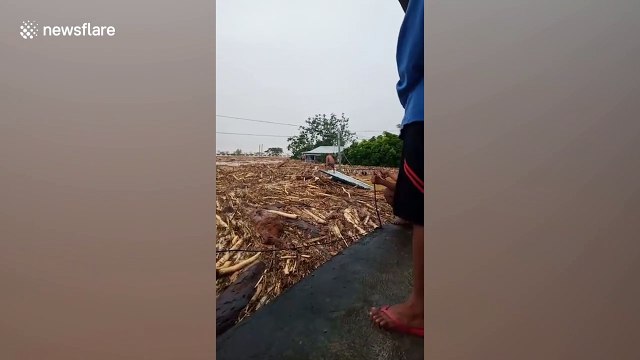 Thousands of logs cover river after being washed away during Typhoon Kammuri in the Philippines