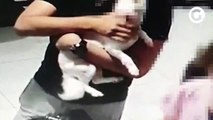 Caso de polícia vídeo mostra cadela fugindo de petshop em Vila Velha