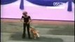 Amazing Dog Trainer Dances with Dog...