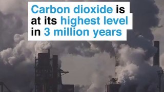 Carbon dioxide is at its highest level in 3 million years