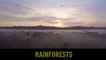 Jane Goodall introduces the Interfaith Rainforest Initiative