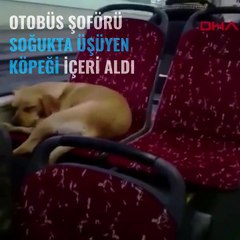 Otobüs şoföründen insanlık dersi!