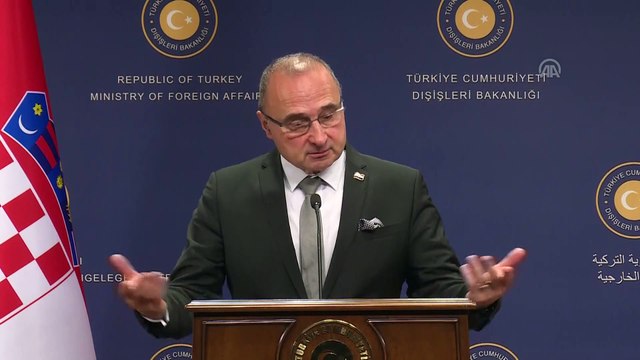 Radman: 'Terörizm, göç konularında mutlaka beraber çalışmak durumundayız' - ANKARA