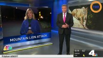 Les attaques de puma sur les chiens arrivent de plus en plus dans certains états des USA !