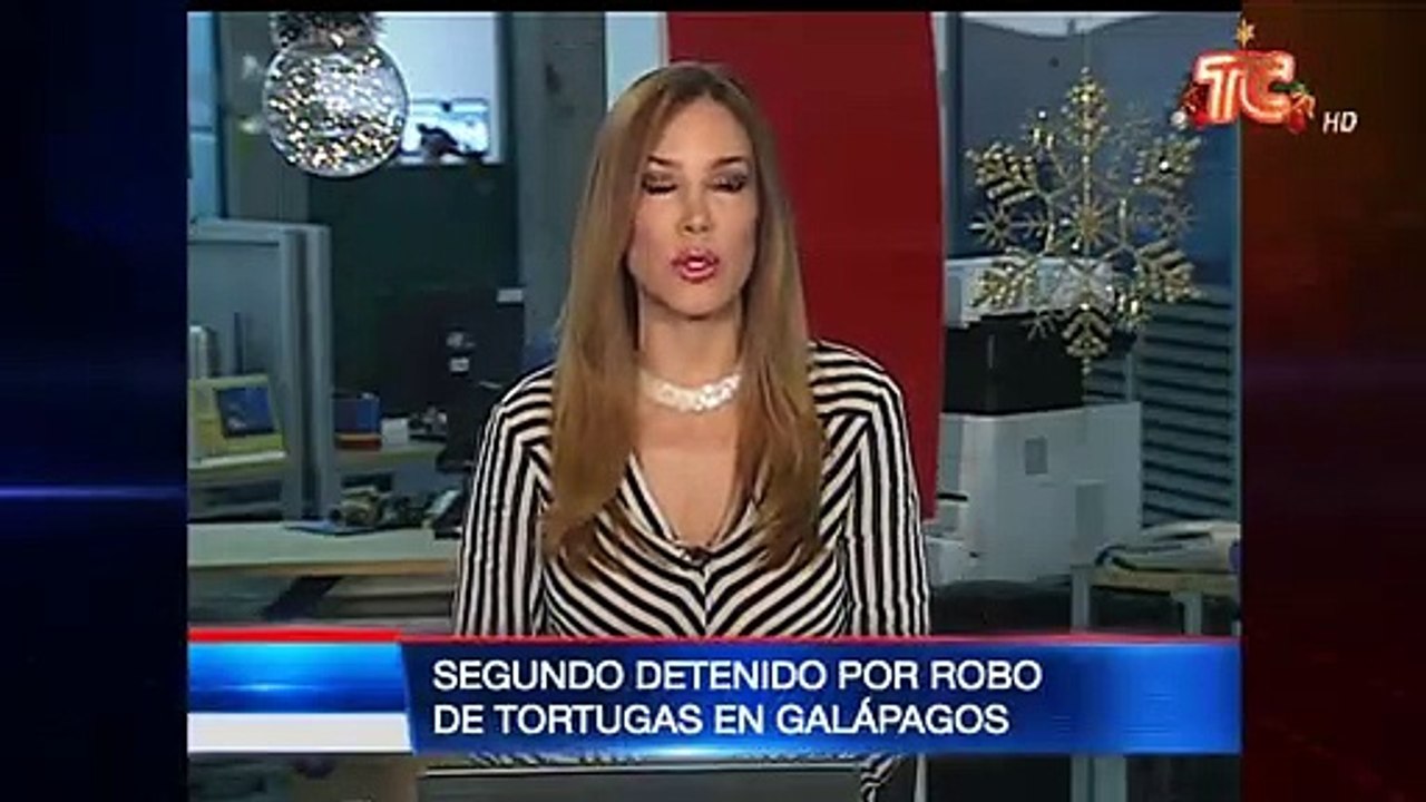 Detienen a un segundo sujeto por robo de tortugas en Galápagos