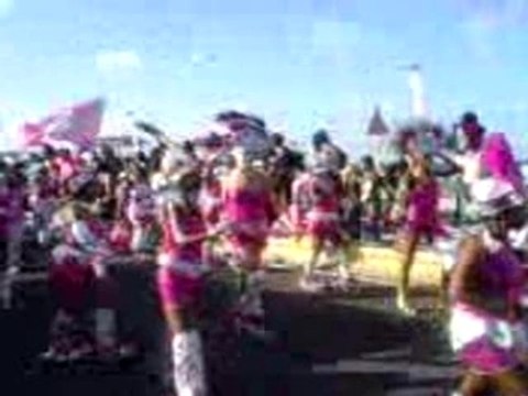 AU CARNAVAL 2008 A MOULE MARDI GRAS