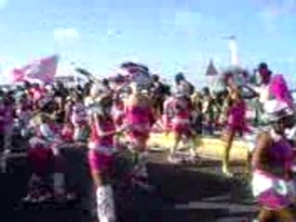 AU CARNAVAL 2008 A MOULE MARDI GRAS