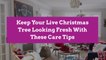Keep Your Live Christmas Tree Looking Fresh With These Care Tips