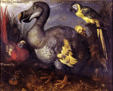 Los 5 animales extintos más impactantes