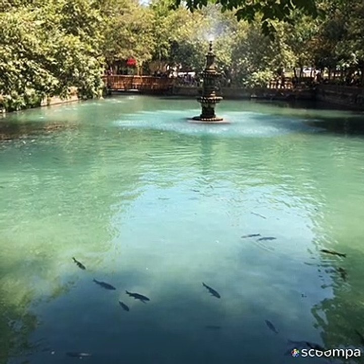 Arif Nazım Bildiğin Gibi değil