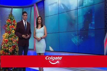 México: tiburón blanco murió desangrado en jaula de observación