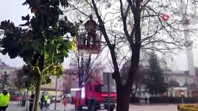 Ağaçta mahsur kalan yavru kedi için itfaiye ve polis seferber oldu