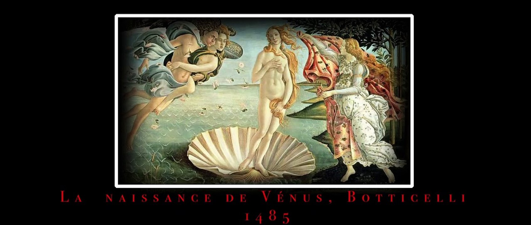 MuseS