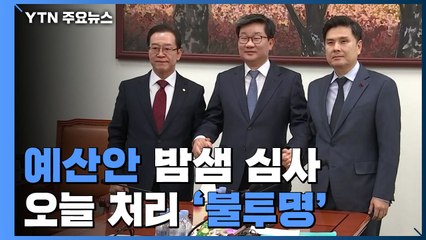 여야, 예산안 밤샘 심사...오늘 내 본회의 통과 가능할까? / YTN