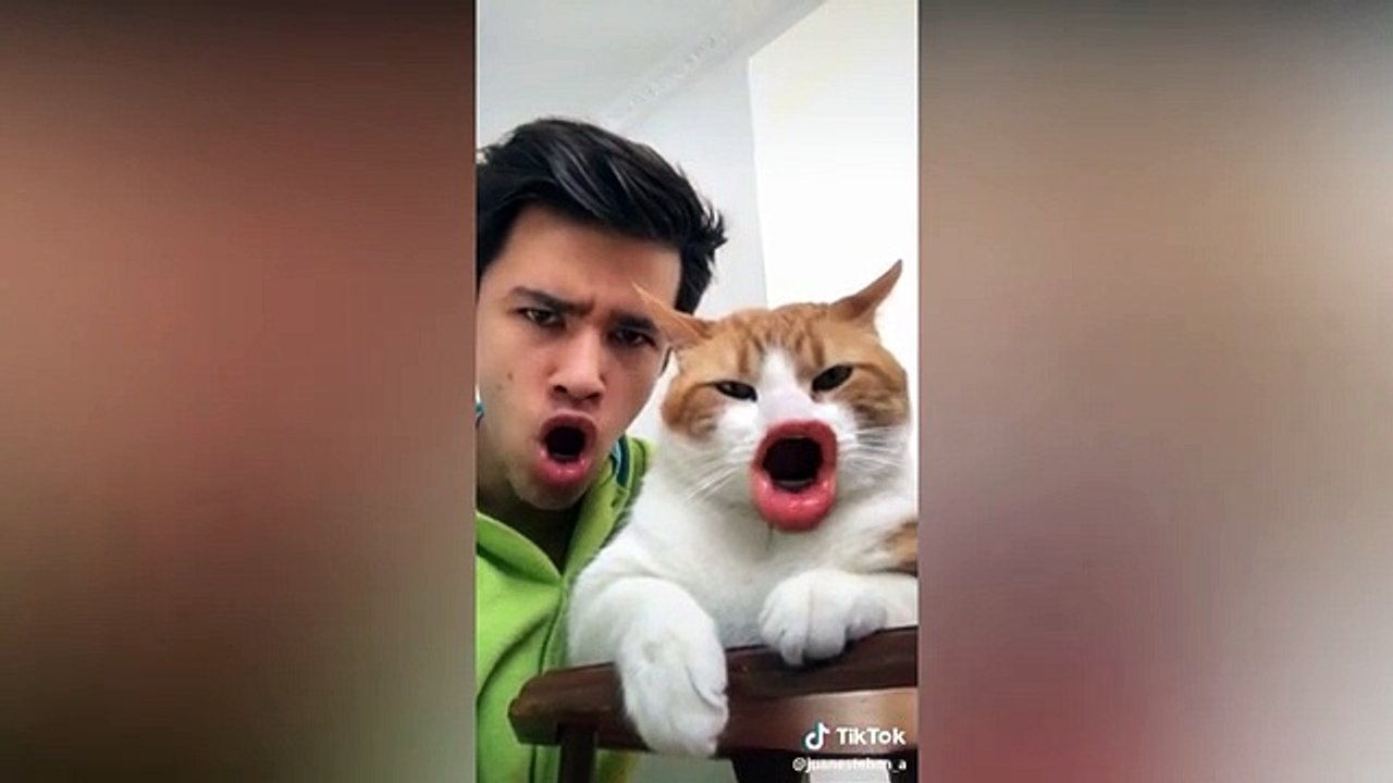 Lo mejor de tik tok - Videos Graciosos