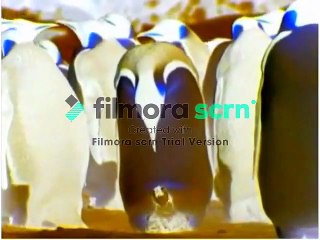 Baby Noah in G Major [Part 3]