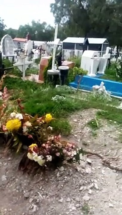 fantasma grabado por accidente en un panteon!!!   video viral   videoviral fantasmasreales