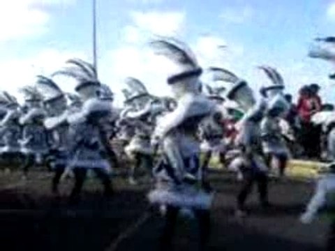 AU CARNAVAL 2008 A MOULE.05/02/2008 en GUADELOUPE