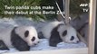 Boy oh boy! Twin male pandas charm Berlin zoo