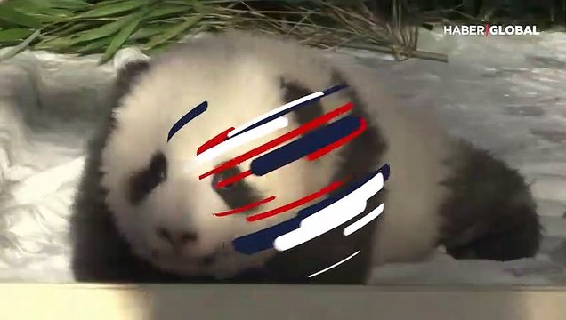 Onlar artık 'arzulanan rüya' ve 'gerçekleşmiş rüya'