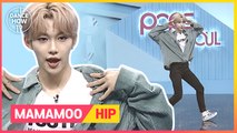 [Pops in Seoul] Felix's Dance How To! MAMAMOO(마마무)'s Hip