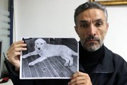 Bir hayvansever, Bursa'da kaybettiği köpeğini dedektif gibi iz sürüp Amerika'da buldu