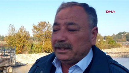 Osmaniye-kadirli'de ıspanak hasadı buruk başladı