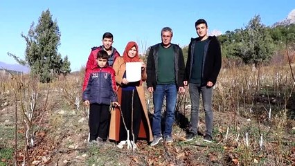 Hibeyle kurdukları ceviz fidanı bahçesi ekmek kapıları oldu