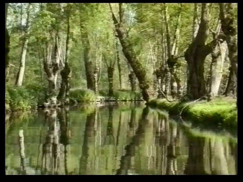La Venise Verte du marais poitevin