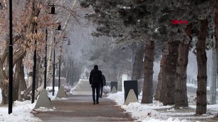 Erzurum'da ağaçlar kırağı tuttu