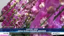 Gerai Bunga Khusus Anggrek di Bandung