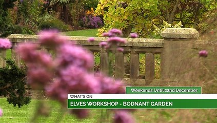 Elves Workshop, Take Part & Much More!